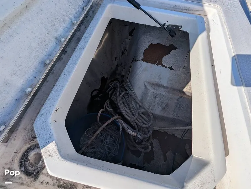 Slide: The Image of World Cat 266 LC 2001 - 16066283