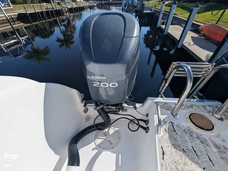 Slide: The Image of World Cat 266 LC 2001 - 16066300