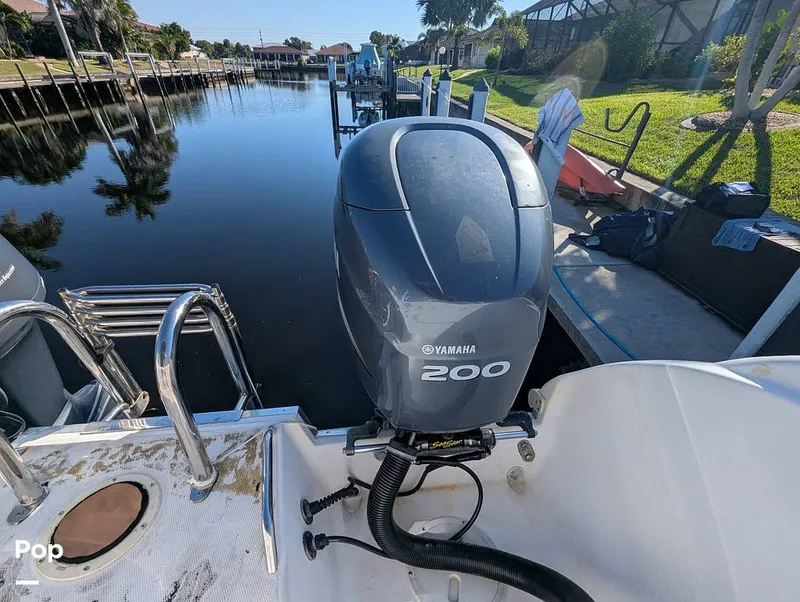 Slide: The Image of World Cat 266 LC 2001 - 16066301