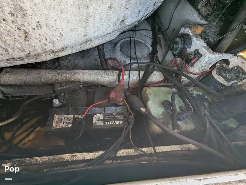 Slide: The Image of World Cat 266 LC 2001 - 16066302