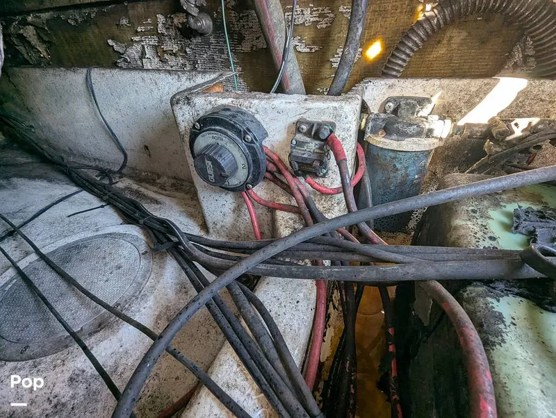 Slide: The Image of World Cat 266 LC 2001 - 16066303