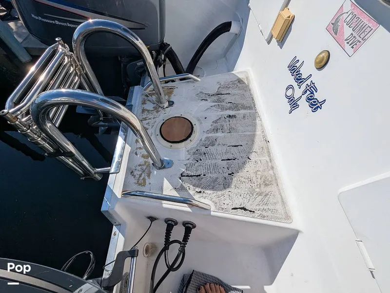 Slide: The Image of World Cat 266 LC 2001 - 16066305