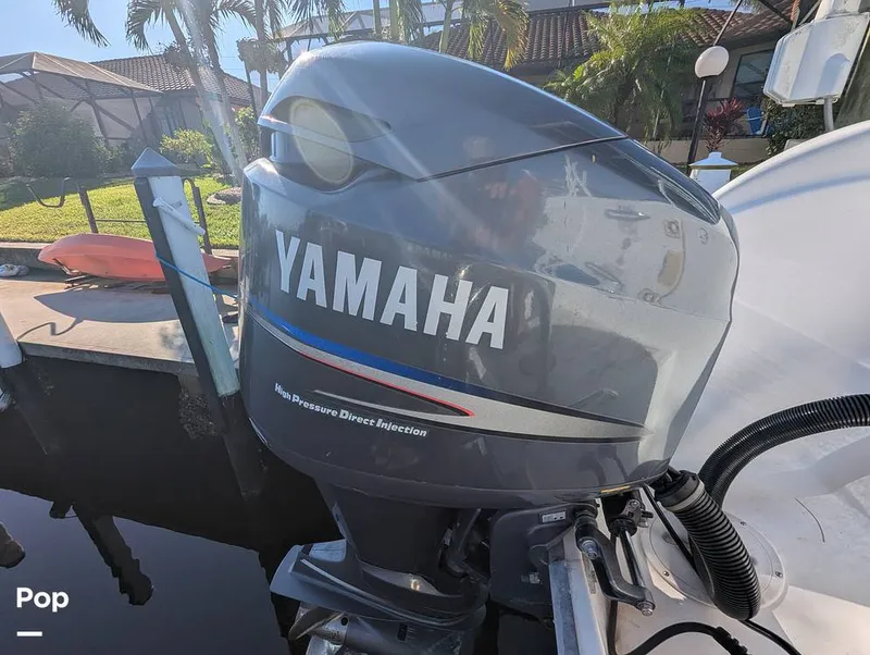 Slide: The Image of World Cat 266 LC 2001 - 16066306