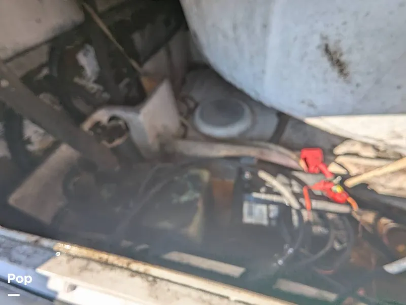 Slide: The Image of World Cat 266 LC 2001 - 16066309