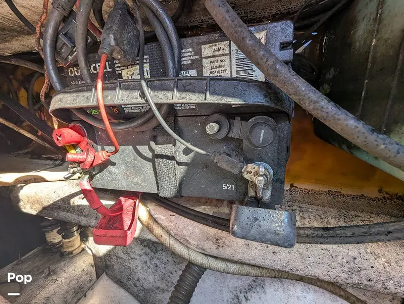 Slide: The Image of World Cat 266 LC 2001 - 16066310