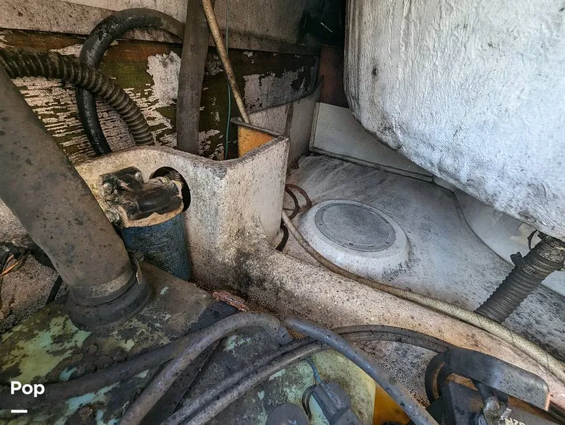 Slide: The Image of World Cat 266 LC 2001 - 16066311