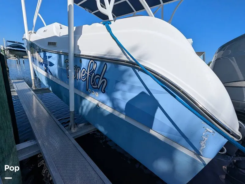 Slide: The Image of World Cat 266 LC 2001 - 16066321