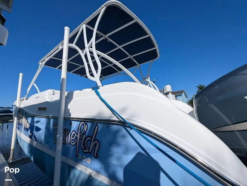 Slide: The Image of World Cat 266 LC 2001 - 16066322