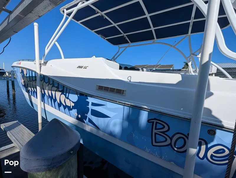 Slide: The Image of World Cat 266 LC 2001 - 16066324