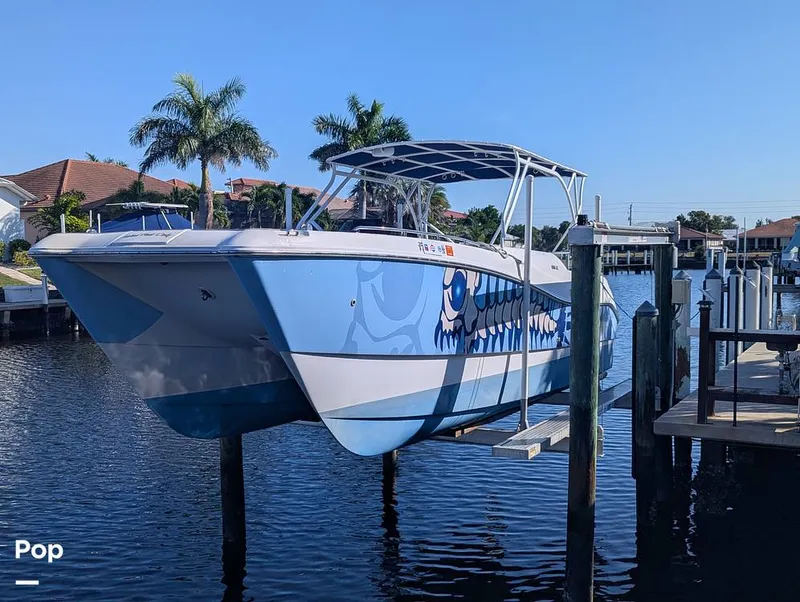 Slide: The Image of World Cat 266 LC 2001 - 16066327