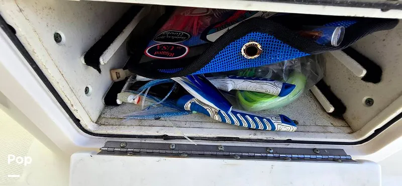 Slide: The Image of Hydra-Sports Vector 2300 VX 2011 - 16044320