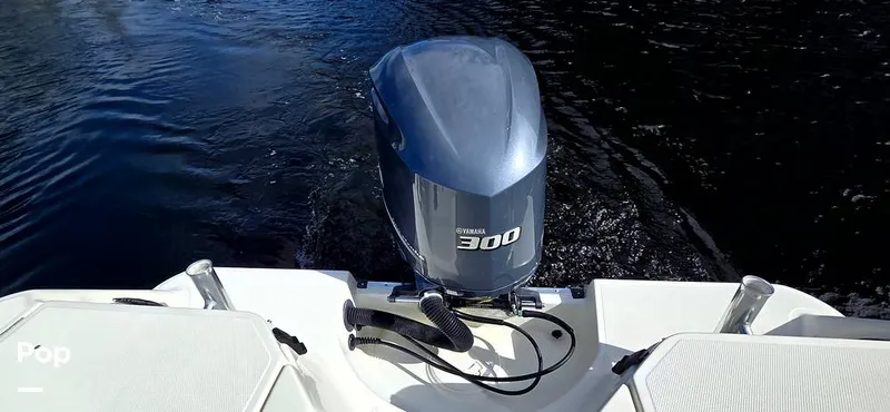 Slide: The Image of Hydra-Sports Vector 2300 VX 2011 - 16044331