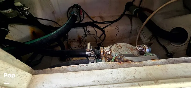 Slide: The Image of Hydra-Sports Vector 2300 VX 2011 - 16044339