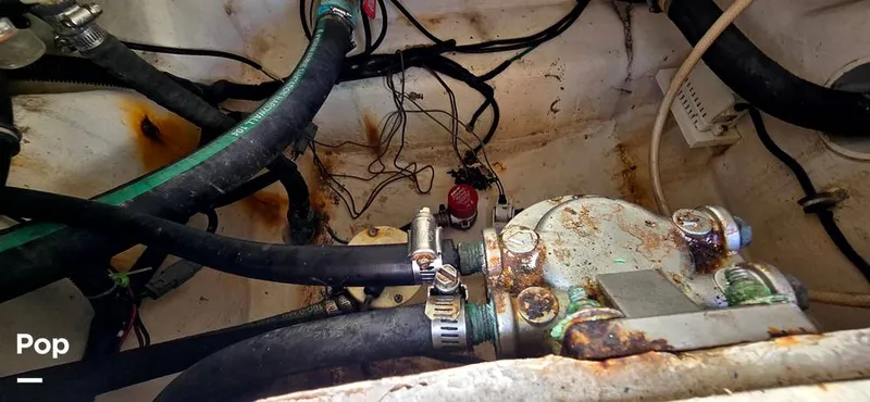 Slide: The Image of Hydra-Sports Vector 2300 VX 2011 - 16044340