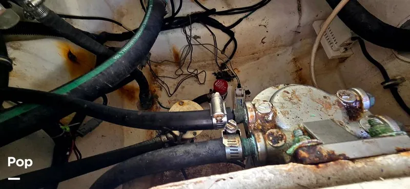 Slide: The Image of Hydra-Sports Vector 2300 VX 2011 - 16044341