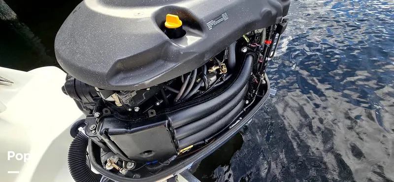 Slide: The Image of Hydra-Sports Vector 2300 VX 2011 - 16044457