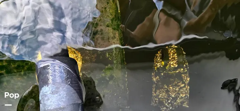 Slide: The Image of Tansducer - 16044464