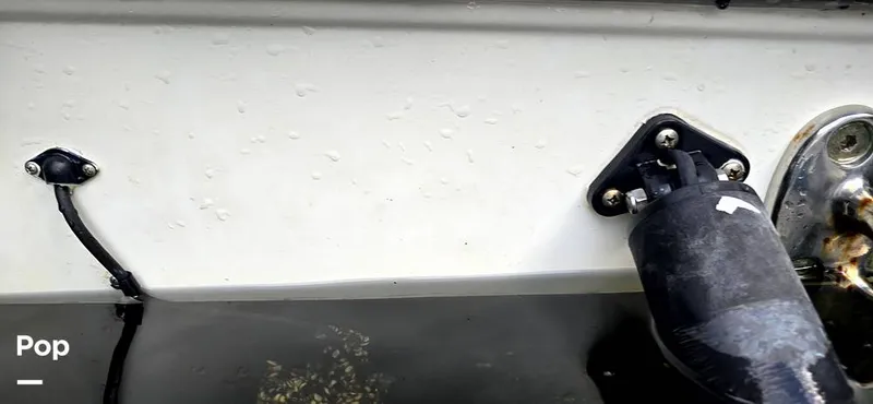 Slide: The Image of Hydra-Sports Vector 2300 VX 2011 - 16044484