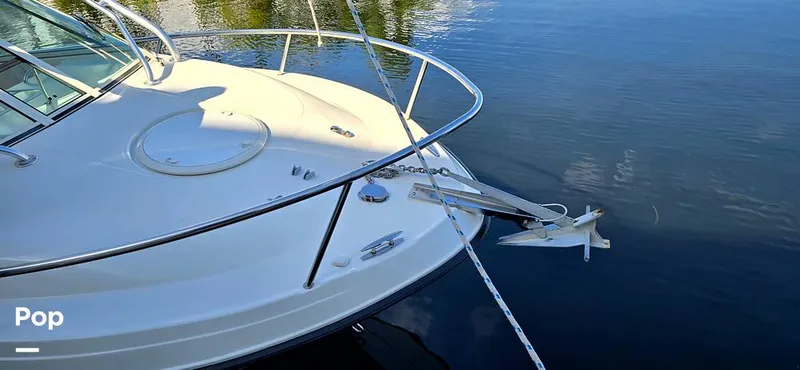 Slide: The Image of Hydra-Sports Vector 2300 VX 2011 - 16044290