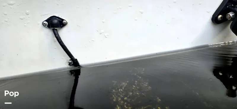 Slide: The Image of Hydra-Sports Vector 2300 VX 2011 - 16044487