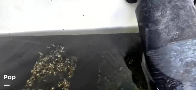 Slide: The Image of Hydra-Sports Vector 2300 VX 2011 - 16044480