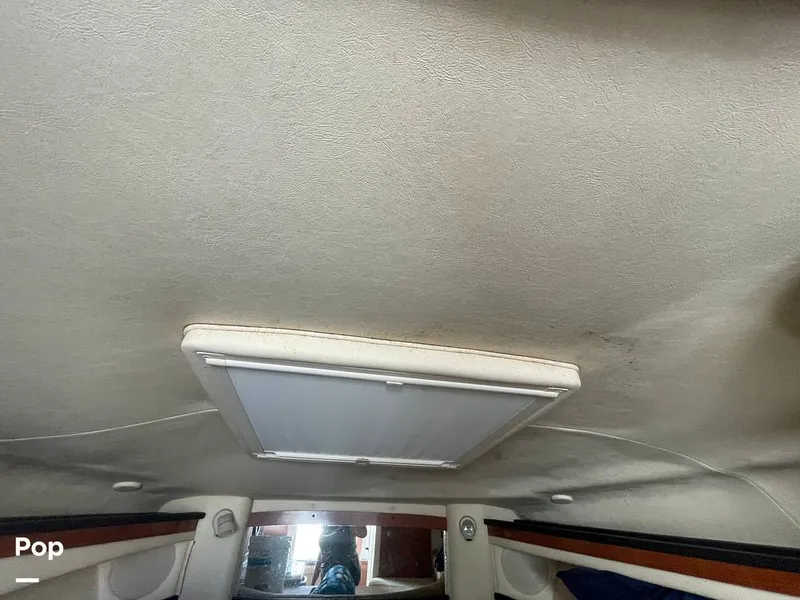 Slide: The Image of Sea Ray Amberjack 270 2006 - 16141842