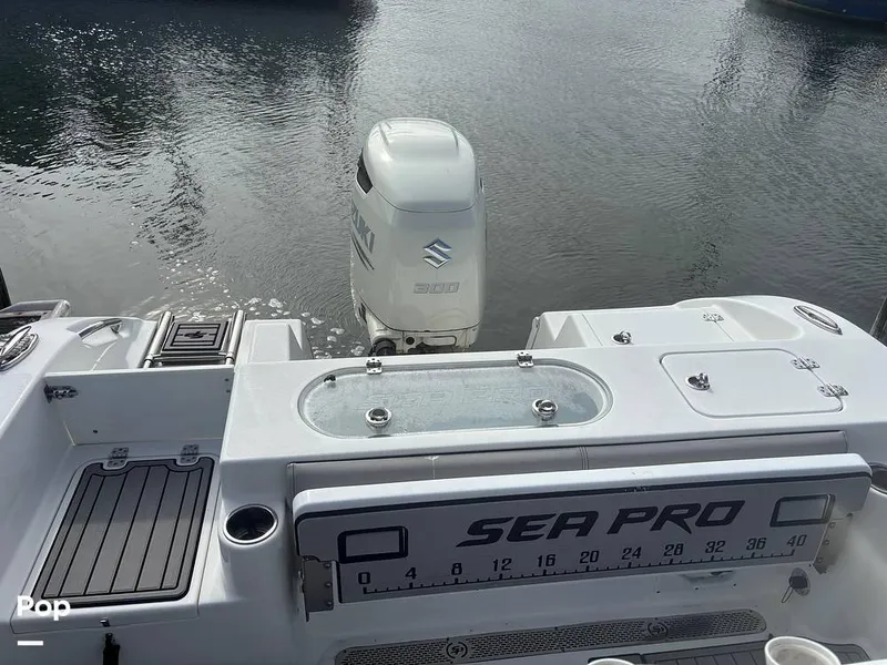 Slide: The Image of Sea Pro 239 CC 2018 - 15955079