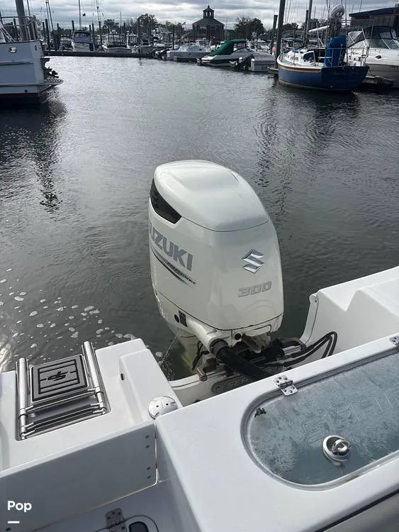 Slide: The Image of Sea Pro 239 CC 2018 - 15955080