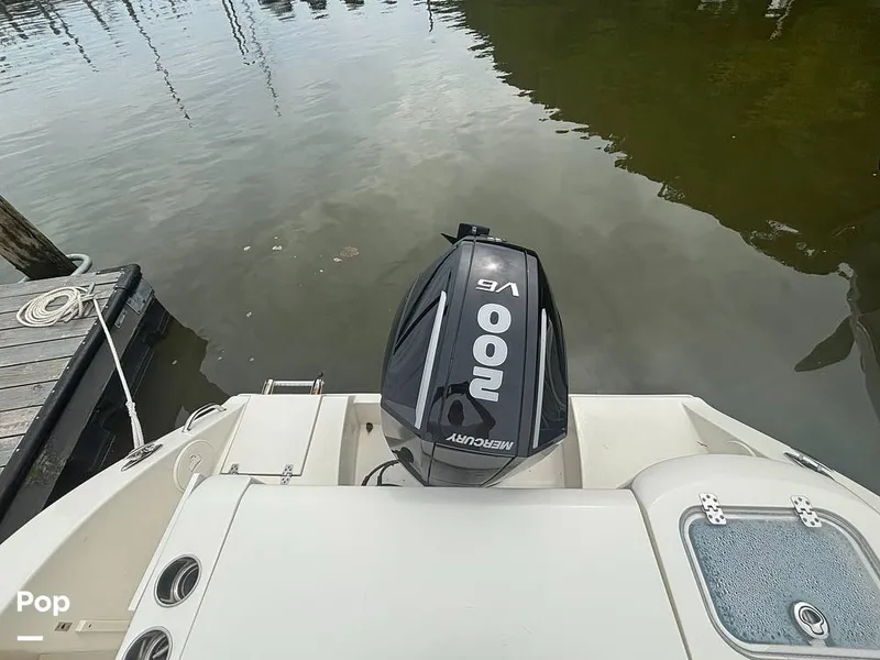 The Image of Cobia 220 DC 2024 - 15911768