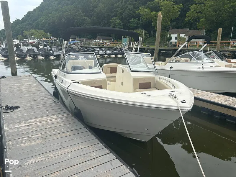 Slide: The Image of Cobia 220 DC 2024 - 15911769