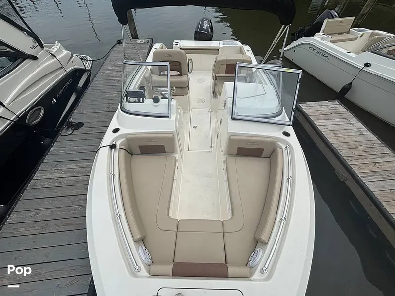 Slide: The Image of Cobia 220 DC 2024 - 15911765