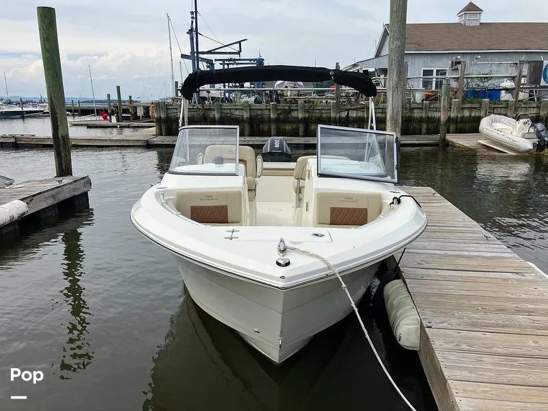 Slide: The Image of Cobia 220 DC 2024 - 15913050