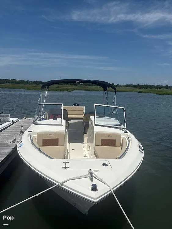 The Image of Cobia 220 DC 2024 - 15913132