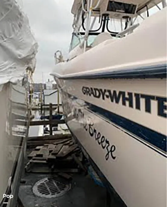 Slide: The Image of Grady-White 232 Gulfstream 1998 - 15929813