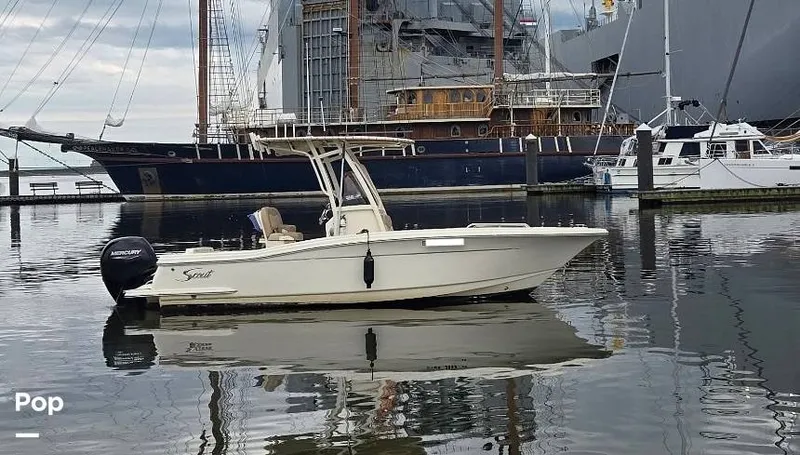 Slide: The Image of Scout 215XSF 2023 - 15913835