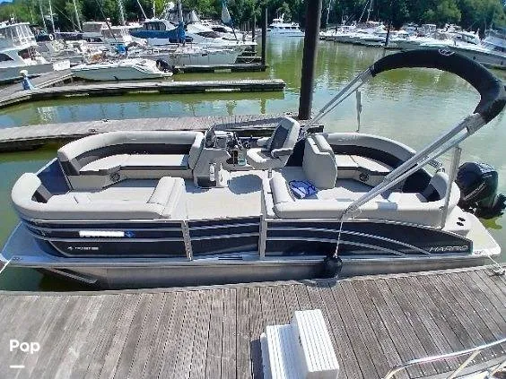 Slide: The Image of Harris HCX23 2024 - 15913907