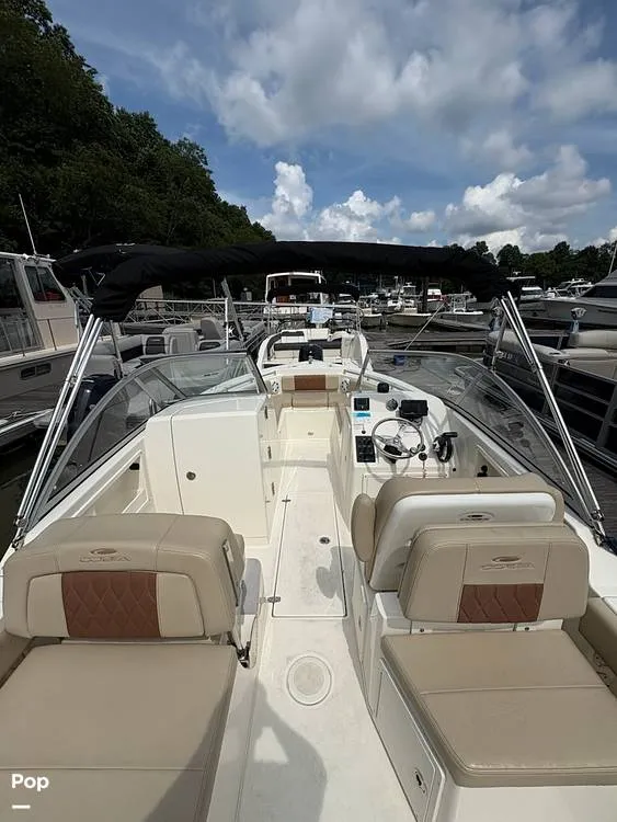 Slide: The Image of Cobia 220 DC 2024 - 15913978