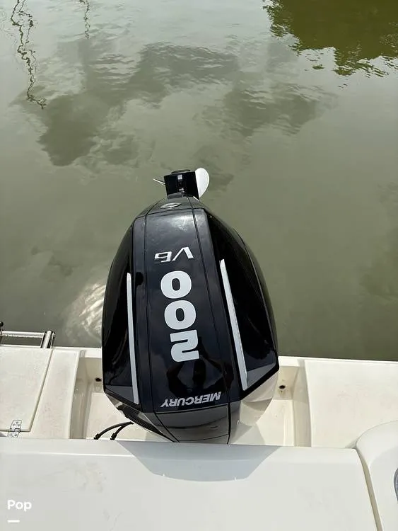 Slide: The Image of Cobia 220 DC 2024 - 15913980