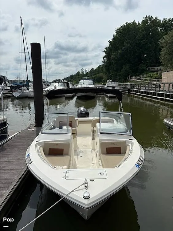 Slide: The Image of Cobia 220 DC 2024 - 15913981