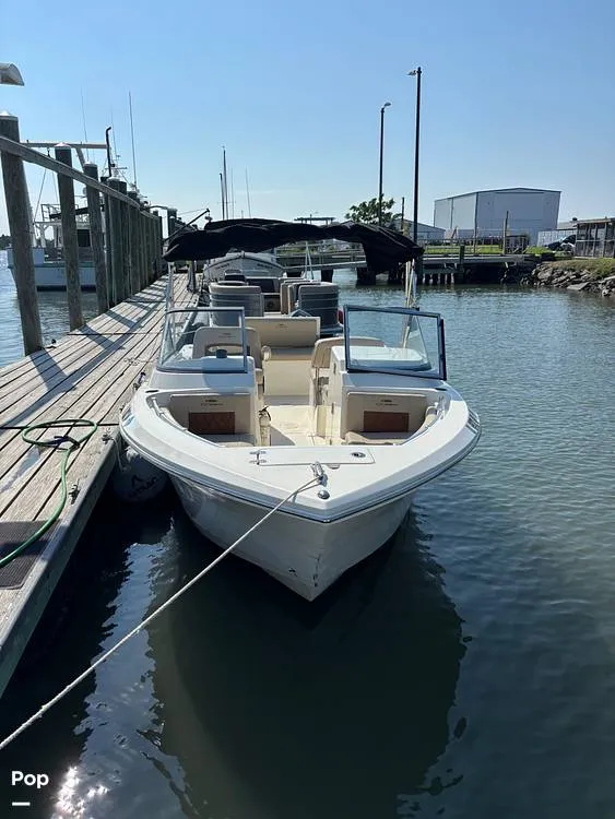 The Image of Cobia 220 DC 2024 - 15914114