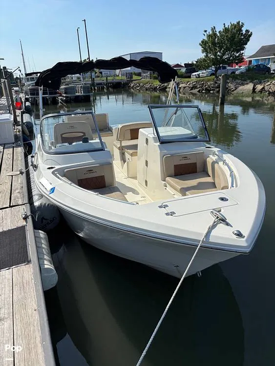 The Image of Cobia 220 DC 2024 - 15914135