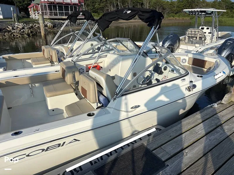 Slide: The Image of Cobia 220 DC 2024 - 15914133