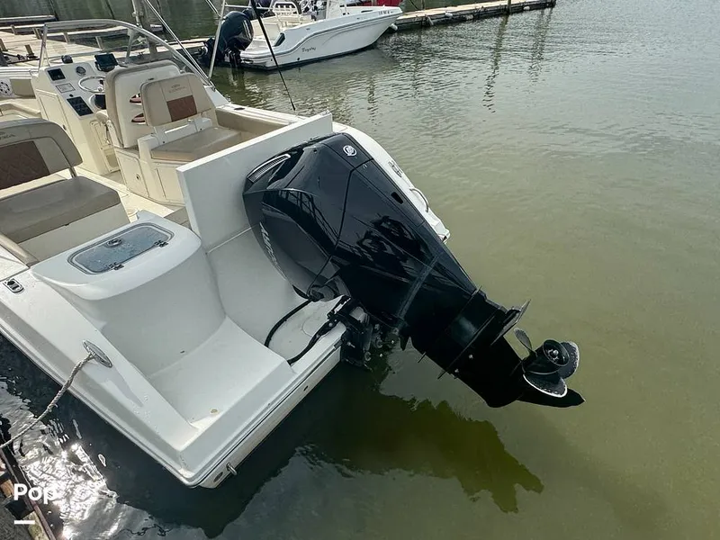 Slide: The Image of Cobia 220 DC 2024 - 15914149