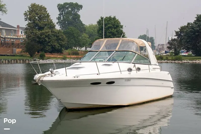 The Image of Sea Ray 290 Sundancer 1999 - 15958595
