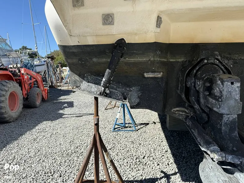 Slide: The Image of Sea Ray 290 Sundancer 1999 - 15931113