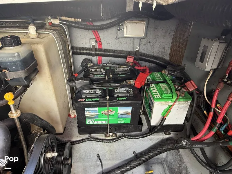 Slide: The Image of Sea Ray 290 Sundancer 1999 - 15931158