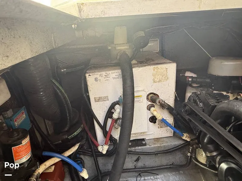 Slide: The Image of Sea Ray 290 Sundancer 1999 - 15931161