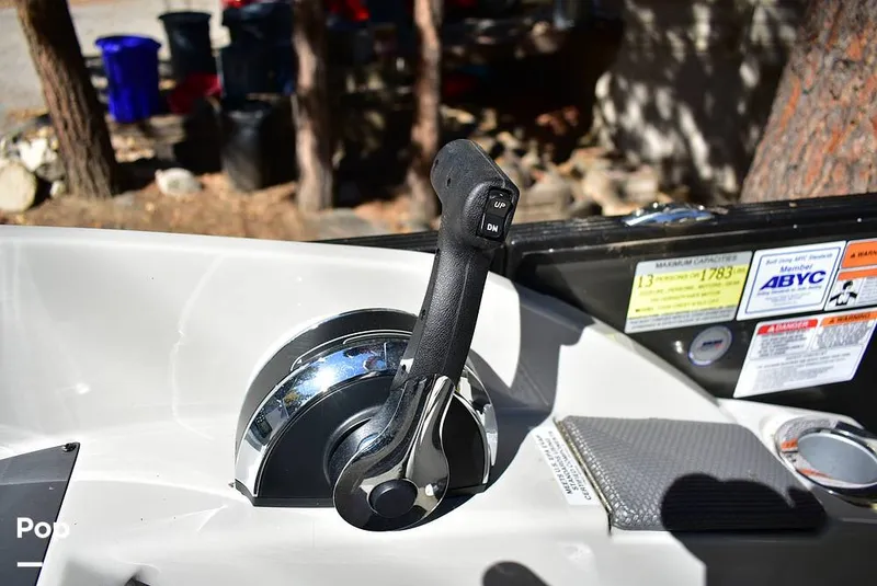 Slide: The Image of Crest III 220 SLC 2019 - 16029769