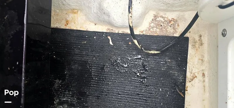 Slide: The Image of Sea Hunt Ultra 255 SE 2025 - 15944169