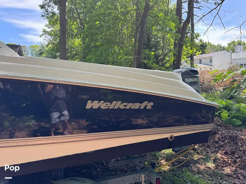 Slide: The Image of Wellcraft Coastal 252 2004 - 16471965